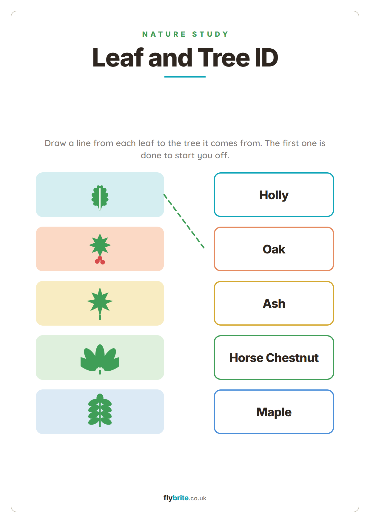 Leaf and Tree ID printable preview