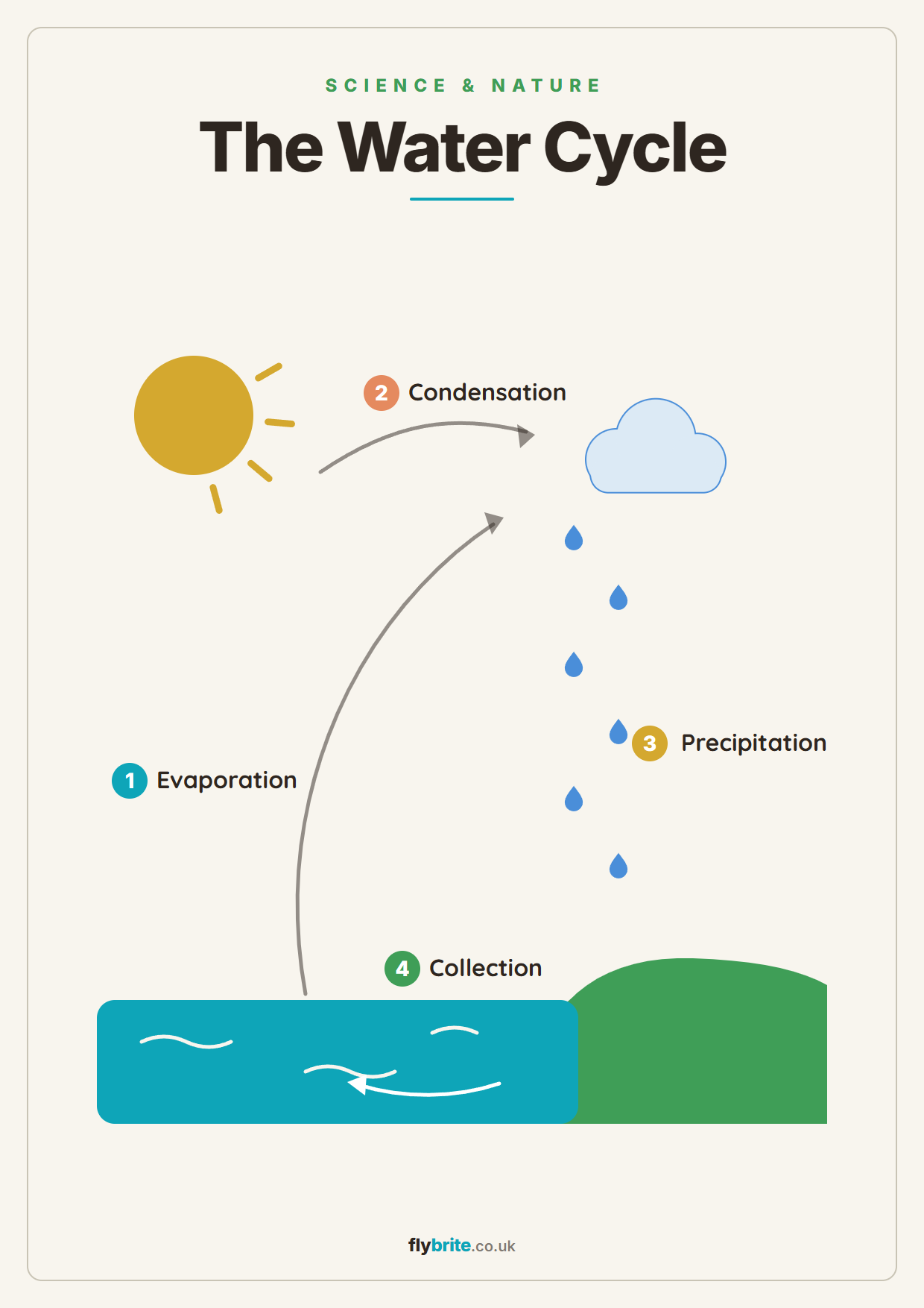 The Water Cycle printable poster preview