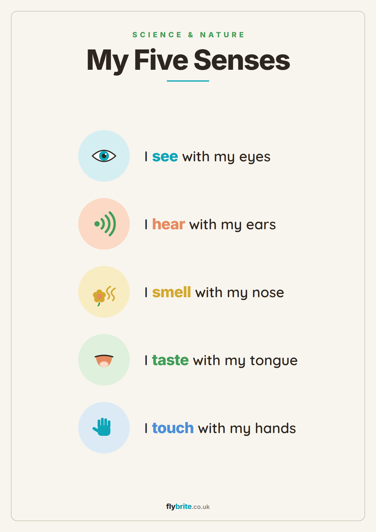 My Five Senses printable poster preview
