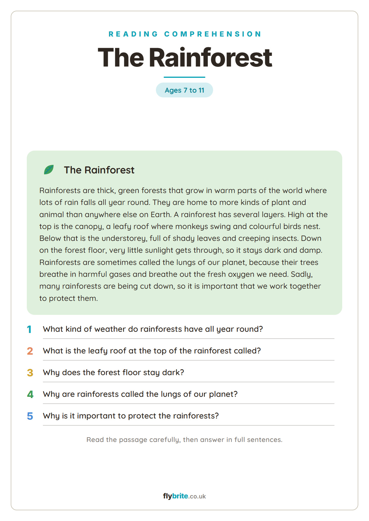 The Rainforest printable preview