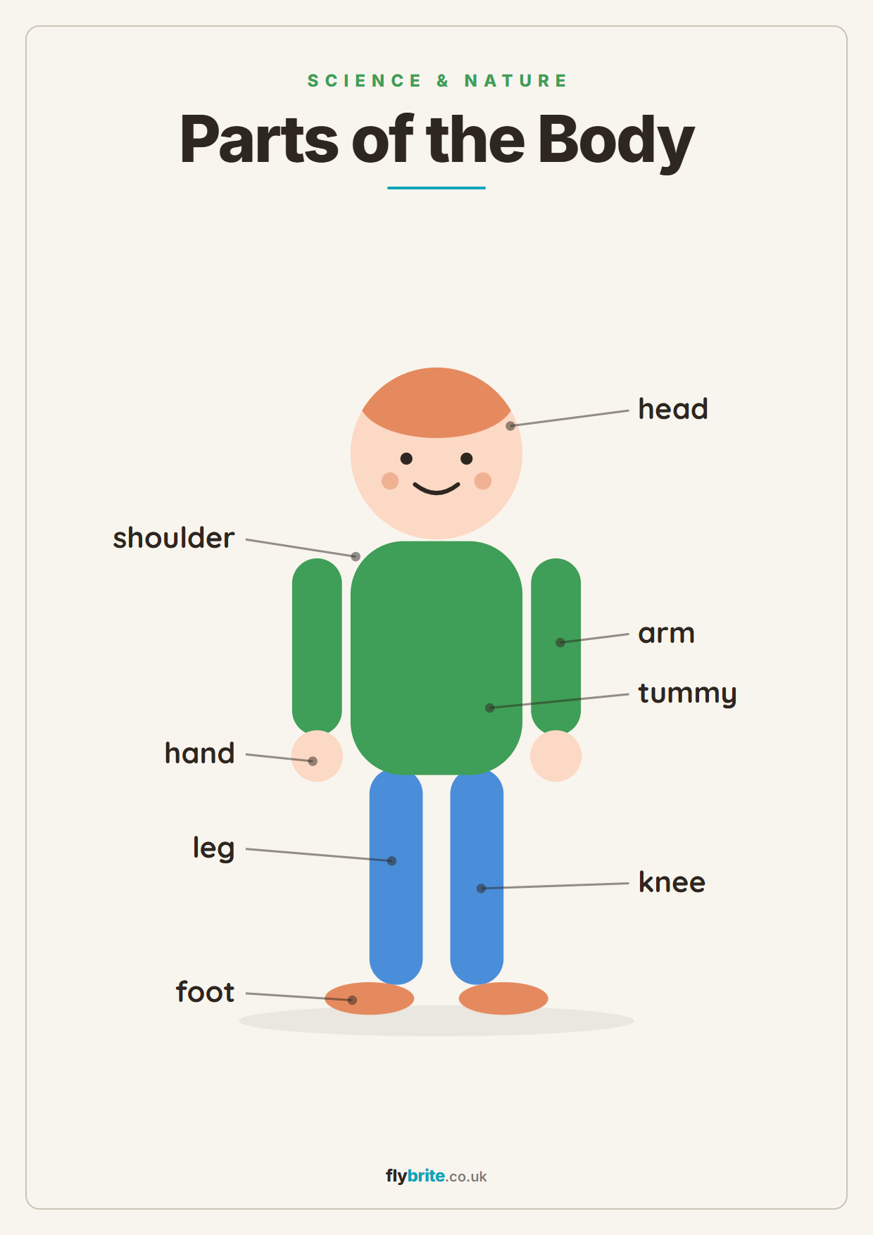 Parts of the Body printable poster preview