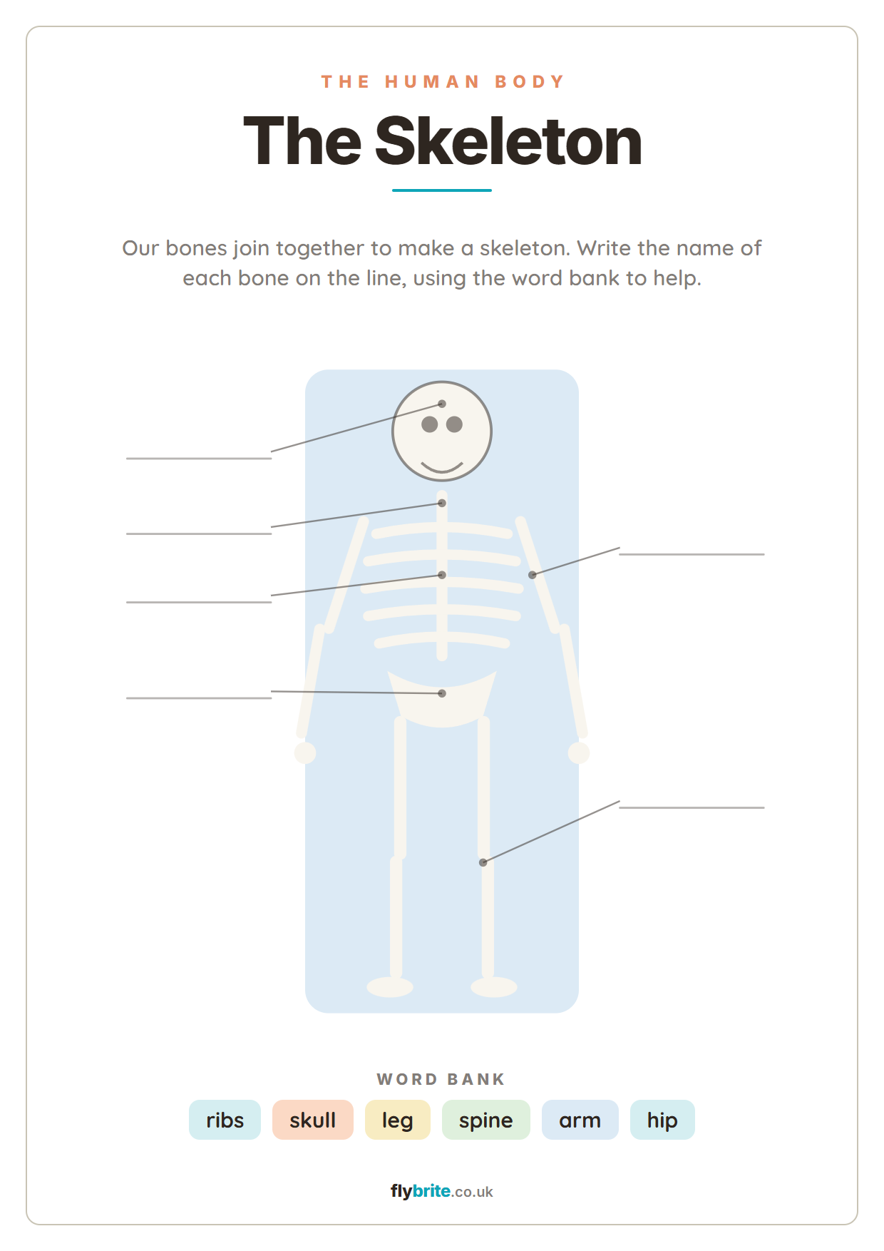 The Skeleton printable preview