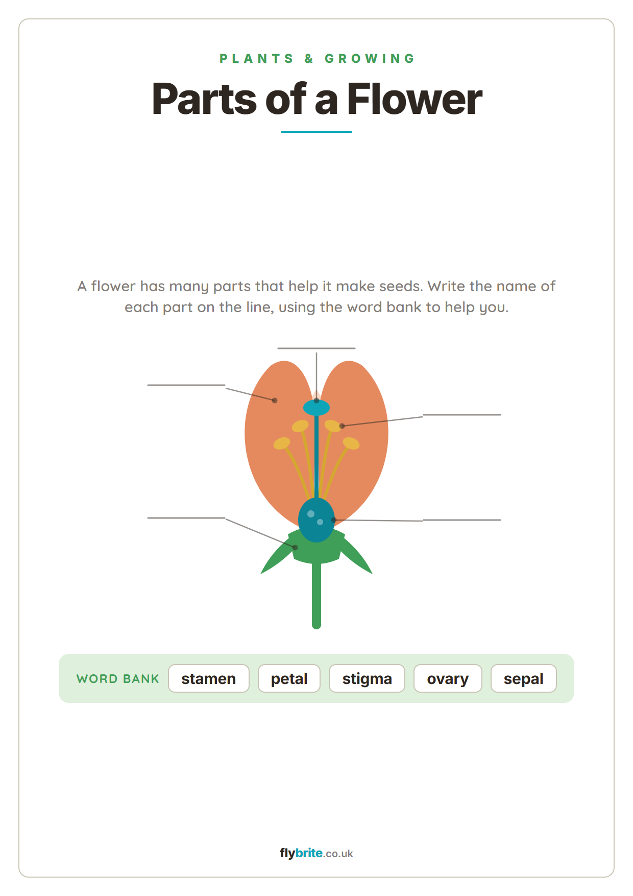 Parts of a Flower printable preview