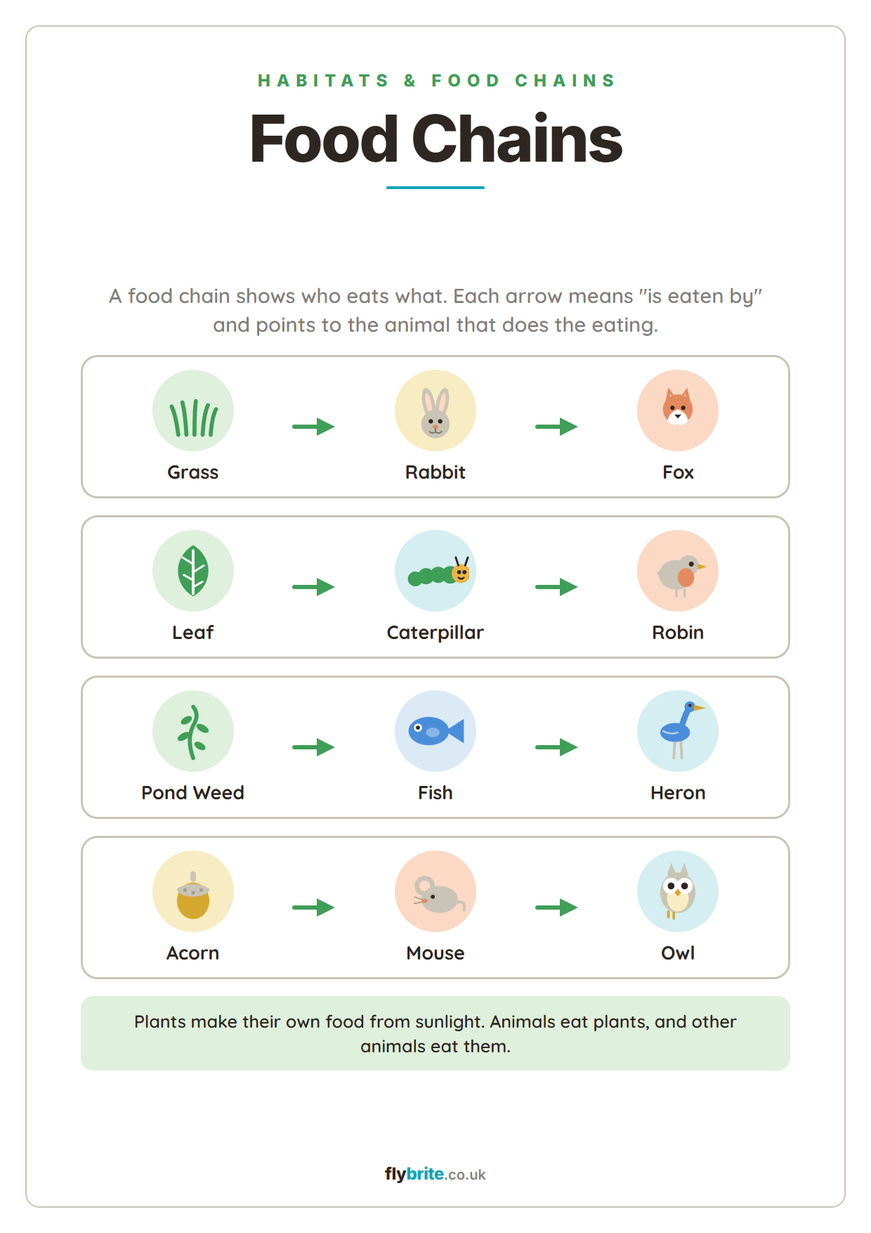 Food Chains printable preview
