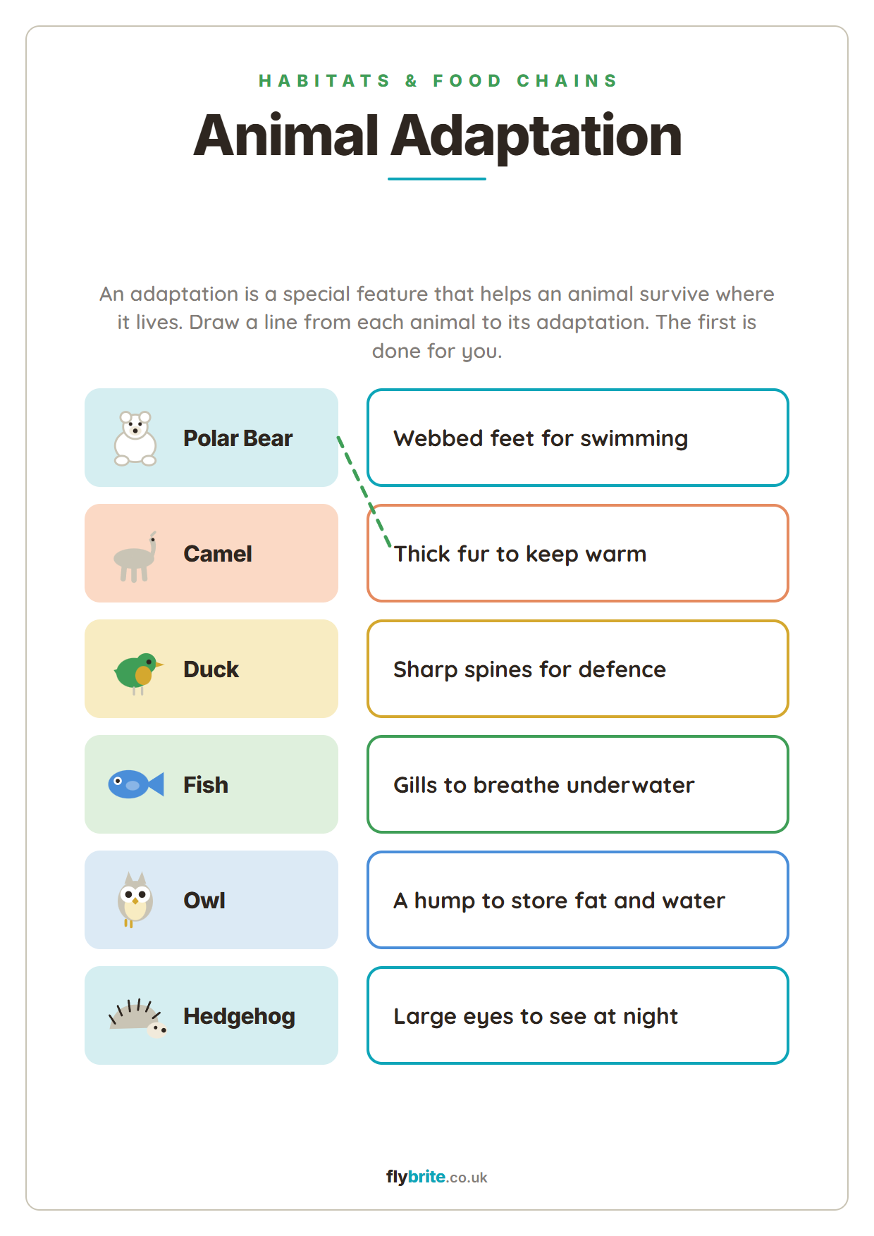 Animal Adaptation printable preview