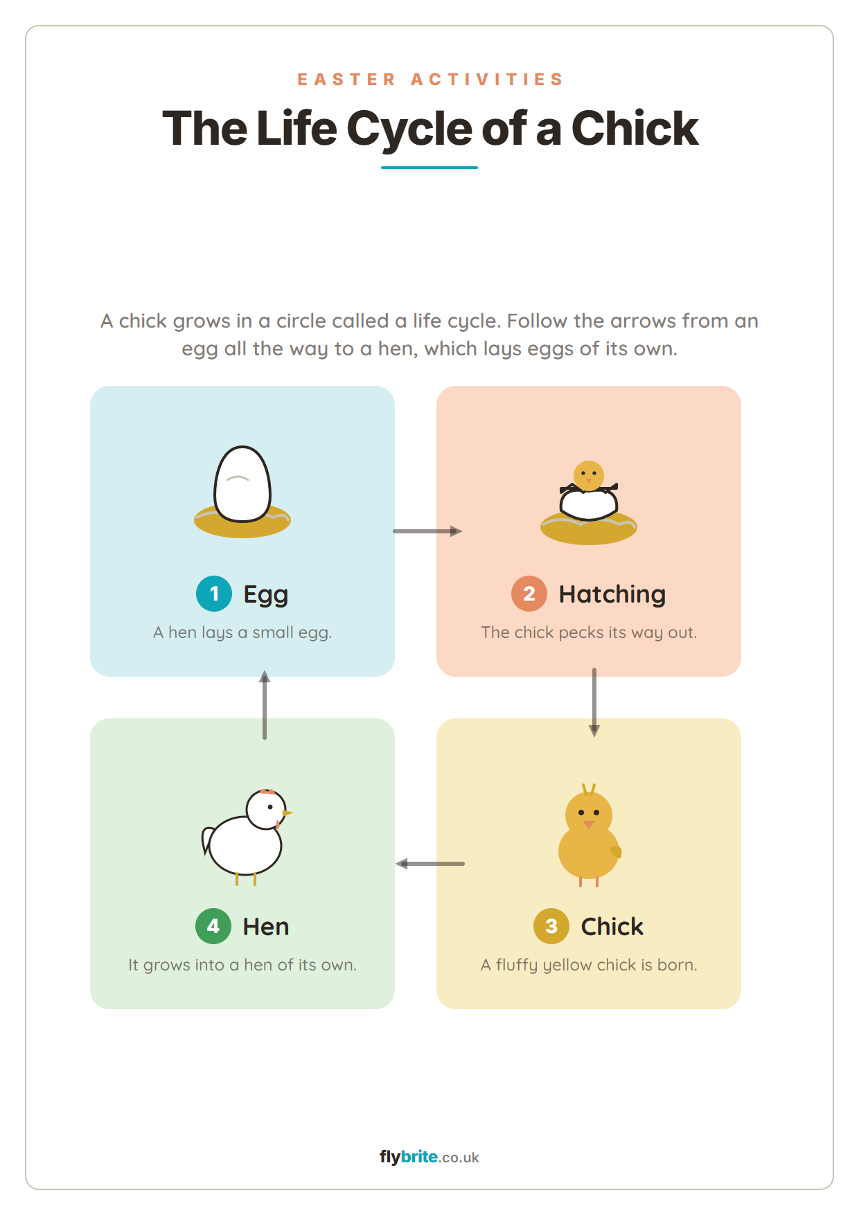 The Life Cycle of a Chick printable preview