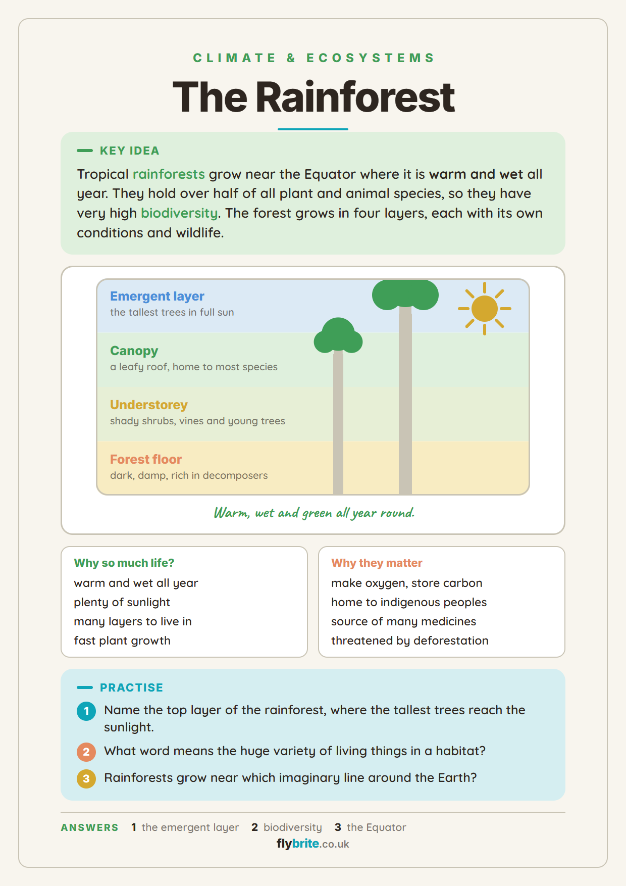 The Rainforest printable preview